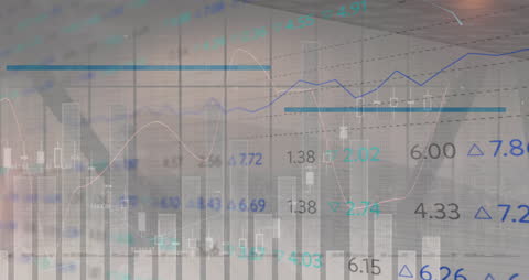 Global Financial Data Network with Earth Focus