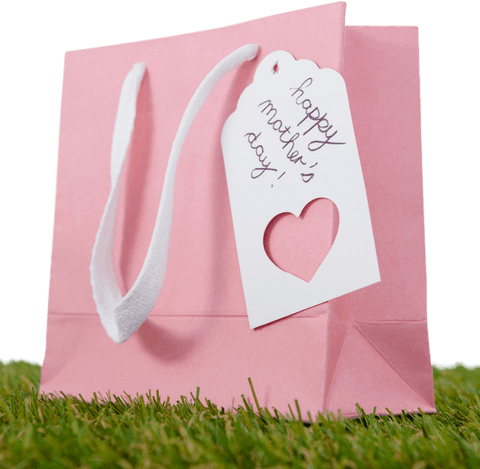 transparent pink mother's day gift bag on grass - Download Free Stock Videos Pikwizard.com