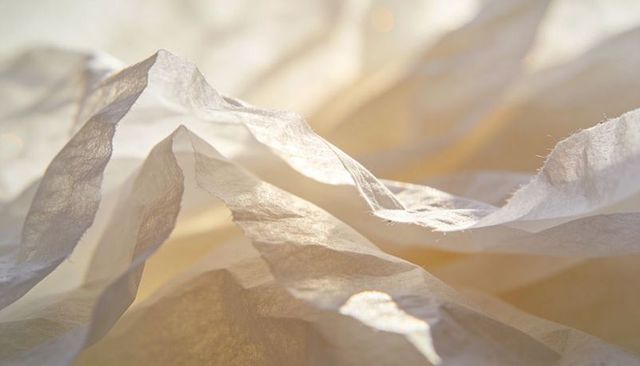Translucent tissue paper catching warm backlight, soft creased folds and ivory glow texture
