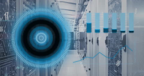 Data Analysis Visualization in Server Environment