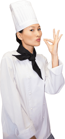 transparent chef approving meal with ok hand gesture - Download Free Stock Videos Pikwizard.com