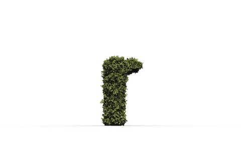 Transparent Letter R Shaped Grass Illustration for Design Projects - Download Free Stock Videos Pikwizard.com
