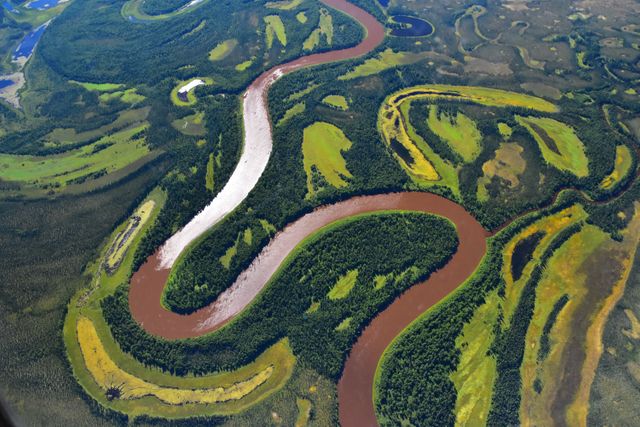 An aerial view of the meandering river taken during NASA's Arctic Boreal Vulnerability Experiment (ABoVE) and the Active Sensing of CO2 Emissions over Nights, Days and Seasons (ASCENDS) experiment. The scene shows the river's flow through a vibrant green and yellow landscape with distinct water paths. Ideal for use in discussions on climate change, hydrology, geography studies, or environmental science research relating to the Arctic and boreal ecosystems.