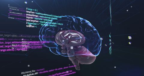 Digital Brain Hologram with Code Overlay - Download Free Stock Images Pikwizard.com