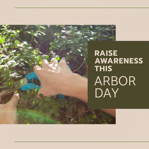 pruning twigs for arbor day awareness - Download Free Stock Templates Pikwizard.com