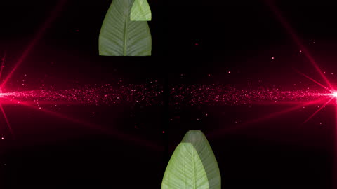 Abstract Red Light Trails with Green Leaves on Black Background