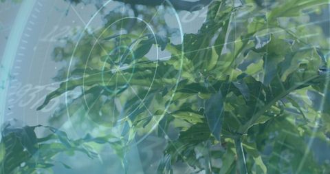 Digital data overlay on natural leaf environment