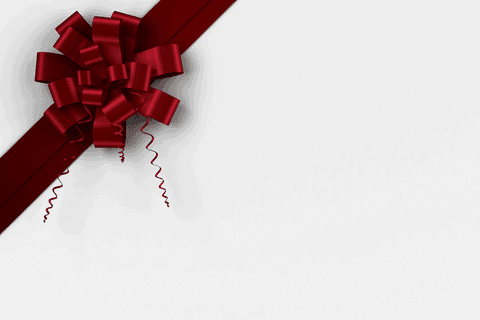 Transparent Red Bow with Curled Ribbons for Christmas Decoration - Download Free Stock Videos Pikwizard.com
