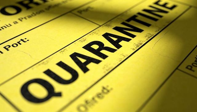 Quarantine label closeup on yellow form conveying pandemic alert and travel restrictions