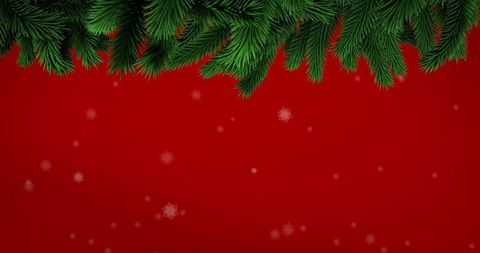 Christmas Pine Sprigs and Snowflakes on Red Background