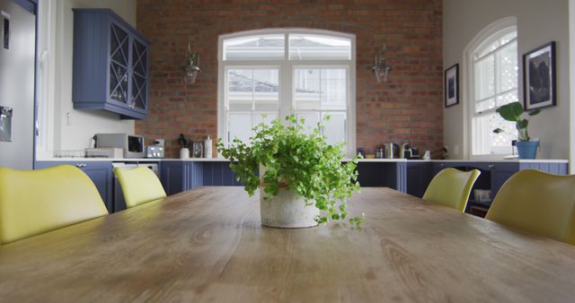 Modern Dining Room with Wooden Table and Green Potted Plant - Download Free Stock Photos Pikwizard.com
