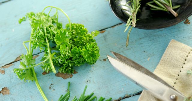 Fresh Parsley and Rosemary on Rustic Blue Wood - Download Free Stock Images Pikwizard.com