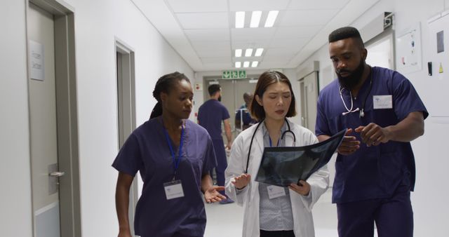 Healthcare Professionals Consulting Over Radiology Reports in Hospital Corridor - Download Free Stock Images Pikwizard.com