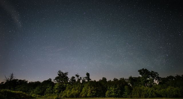 This image captures a serene night sky filled with countless stars, with a lush forest beneath. Ideal for use in nature-themed articles, astronomy blogs, meditation and relaxation content, outdoor adventure promotions, or as a calming visual background.