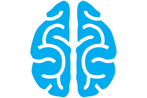 transparent blue brain illustration on white background - Download Free Stock Videos Pikwizard.com