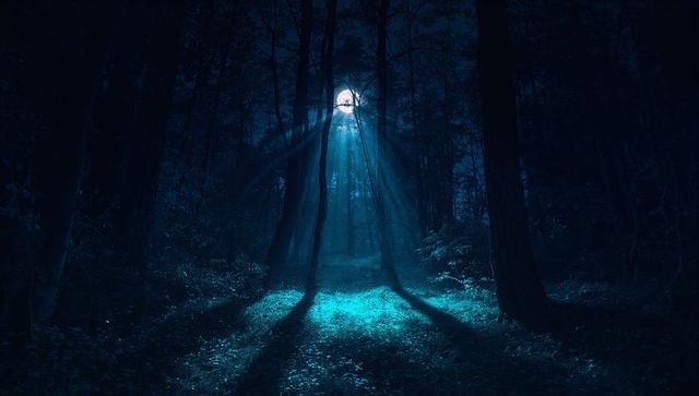 Mystical Moonlit Forest Clearing at Night