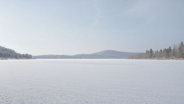 Frozen lake stretching to horizon, snow-covered pine woodland and low rolling hills
