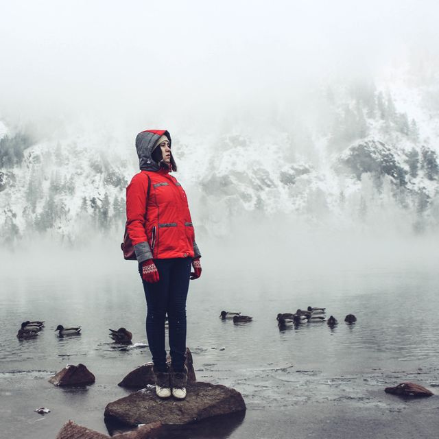 Woman standing on a rock wearing red jacket in foggy winter landscape surrounded by snowy mountains and lake. Fog obscures distant trees and ducks are swimming near the shore. Ideal for themes of solitude, adventure, nature, winter travel, tranquility, and outdoors.