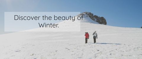 Winter Adventure Featuring Serenity in Snow-Covered Landscape - Download Free Stock Templates Pikwizard.com