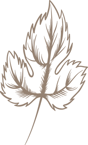 Stylized brown leaf illustration on transparent background