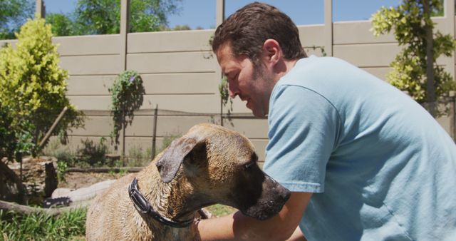 Caucasian male volunteer washing dog in sunny dog shelter. Animals, support and temporary home, unaltered.