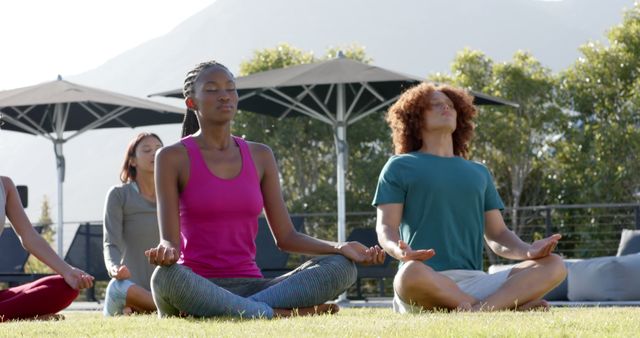 Outdoor Yoga Session with Diversity in Nature Setting - Download Free Stock Images Pikwizard.com