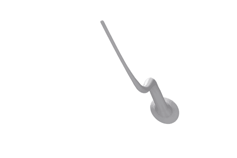 3D Transparent Sperm Cell Visualization on Black Background - Download Free Stock Videos Pikwizard.com