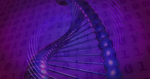 dna strand with digital binary overlay for data science concepts - Download Free Stock Images Pikwizard.com