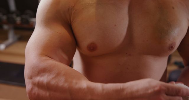 Close-up of Muscular Male Torso in Gym - Download Free Stock Images Pikwizard.com