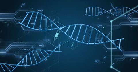 Digital Representation of DNA Strands and Data Processing - Download Free Stock Images Pikwizard.com