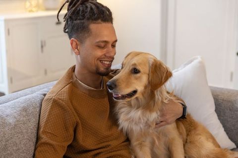 Man cuddling golden retriever on grey sofa, cozy home pet bonding and relaxation