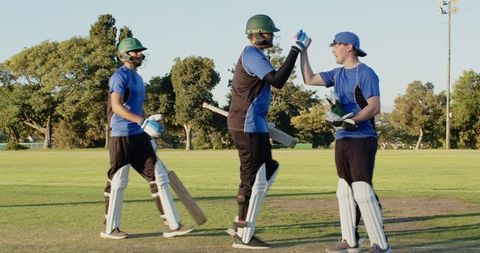Cricketers exchanging high-five on sunny cricket pitch celebrating partnership, teamwork