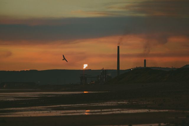 Industrial scene featuring a beach at sunset with a bird flying over and smokestacks emitting smoke in the background. The juxtaposition of nature and industry offers dramatic and reflective visuals, perfect for environmental themes, power station references, or illustrating the clash of industrialization and natural surroundings.