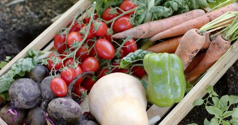 Harvest crate overflowing with fresh garden vegetables cherry tomatoes carrots beets