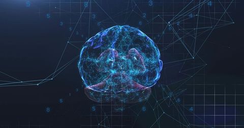 Holographic 3D Brain Visualizing Neural Network Activity and Digital Data Flow