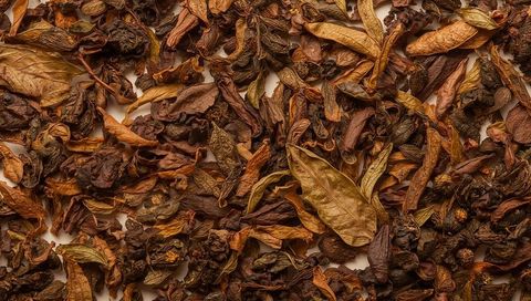 Rustic dried leaf and seed pod flatlay showcasing rich autumn textures for backgrounds