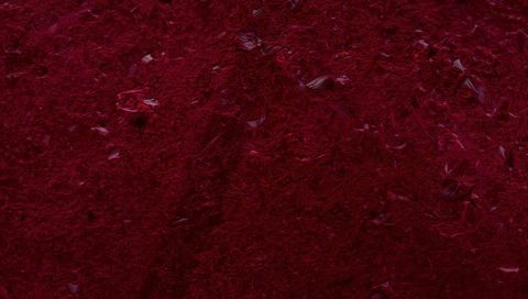 Revealing deep burgundy textured canvas with glossy flakes, dense fibers, closeup pattern