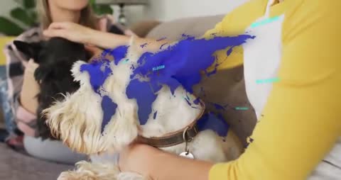 Pet Owners Relaxing with Dogs Creating Soothing Environment at Home