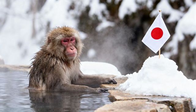 Japanese macaque relaxing in snowy onsen beside japanese flag, winter hot spring scene