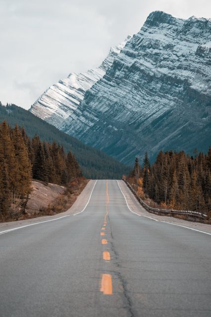 Scenic Road in Mountainous Alberta Landscape - Download Free Stock Photos Pikwizard.com