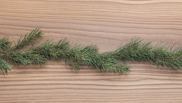 Evergreen pine branch stretching across light wood tabletop flatlay with natural needles