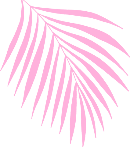 minimal flat palm frond art on transparent background - Download Free Stock Videos Pikwizard.com
