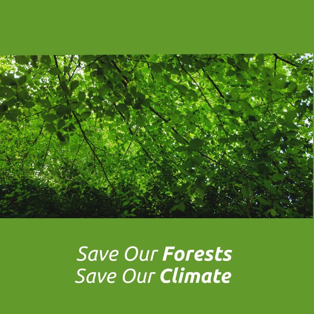 Composite of lush trees growing in woodland with save our forests and save our climate text. Copy space, green, nature, awareness, protection and environmental conservation concept.