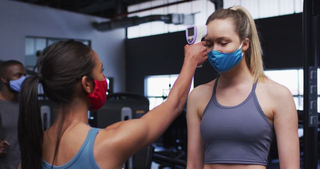 Woman checking another woman's temperature at gym wearing face masks - Download Free Stock Images Pikwizard.com