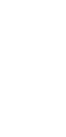 Elegant botanical branch in white line art on transparent background