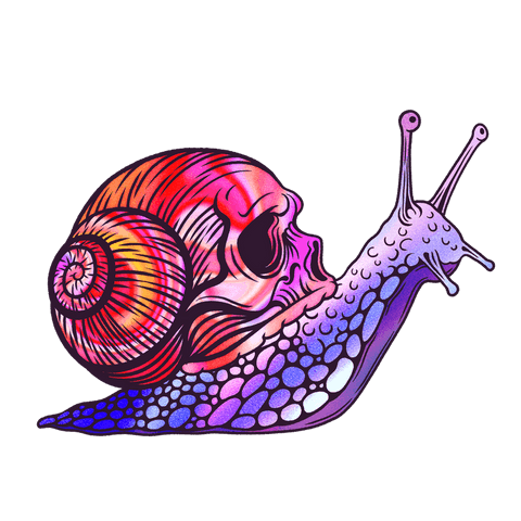 stylized snail skull with gradient on transparent background - Download Free Stock Videos Pikwizard.com