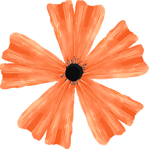 Transparent vector orange poppy-like bloom with textured petals