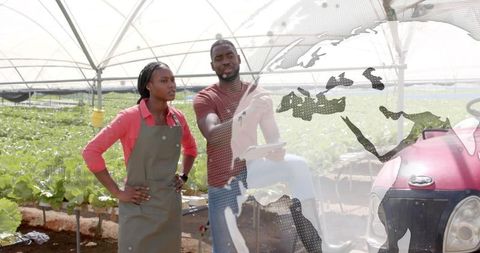 Inspecting Crops with Tablet in High-Tech Greenhouse Facility