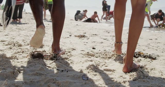 People Enjoying Sunny Day at Sandy Beach - Download Free Stock Images Pikwizard.com