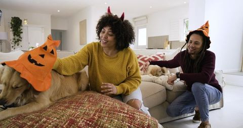 Couple celebrating halloween at home petting golden retrievers wearing pumpkin hats